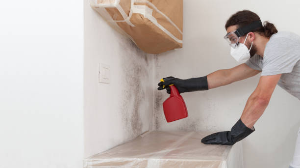 Professional Mold Remediation technician working in Boxford, MA